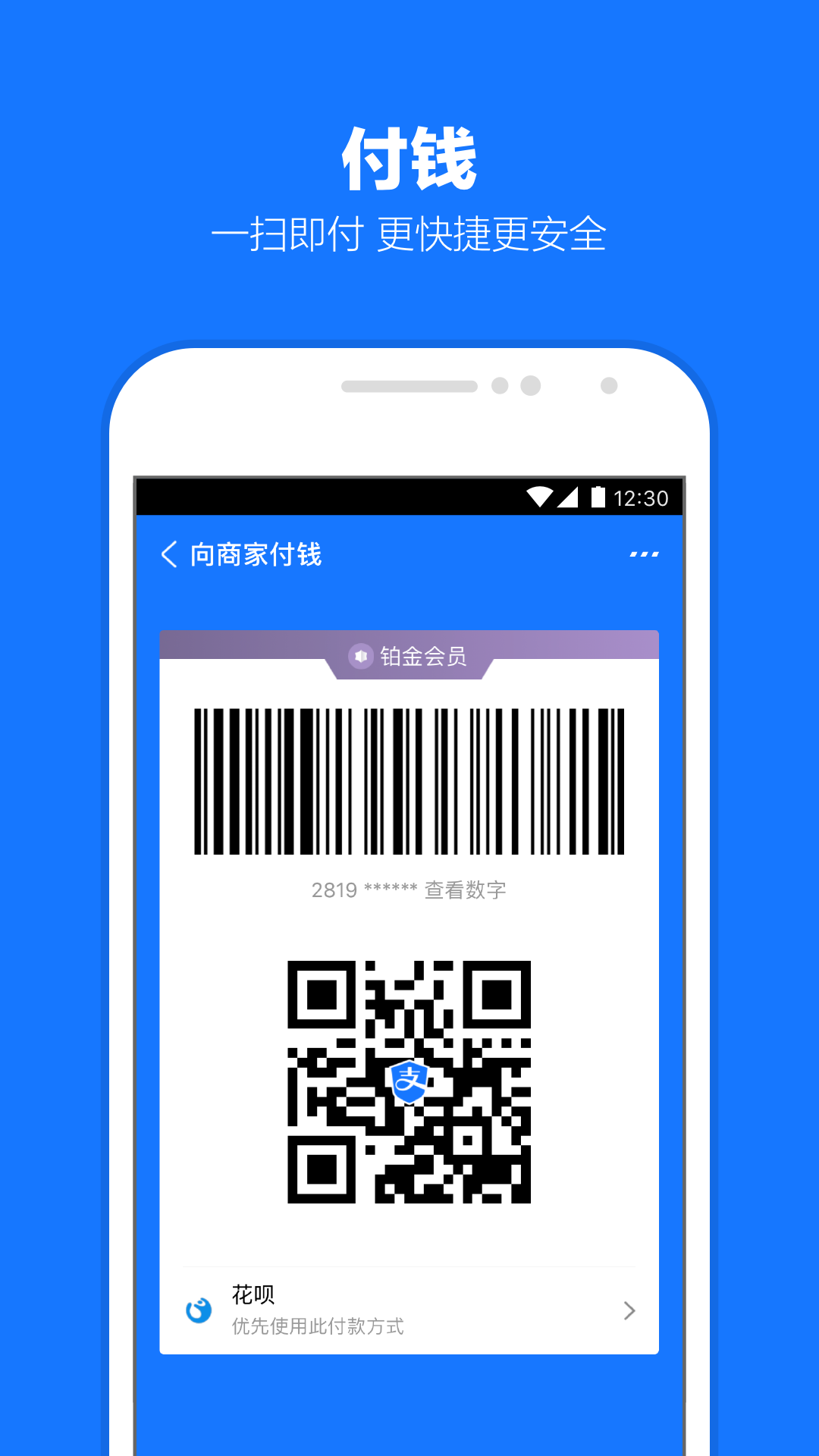 长腿昆虫像蜘蛛截图